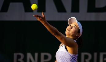 NAO HIBINO 